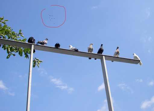 the youngsters being settled with the old kit overhead