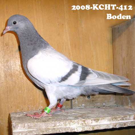 Boden
