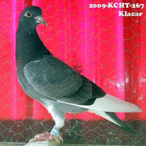 Klacar
